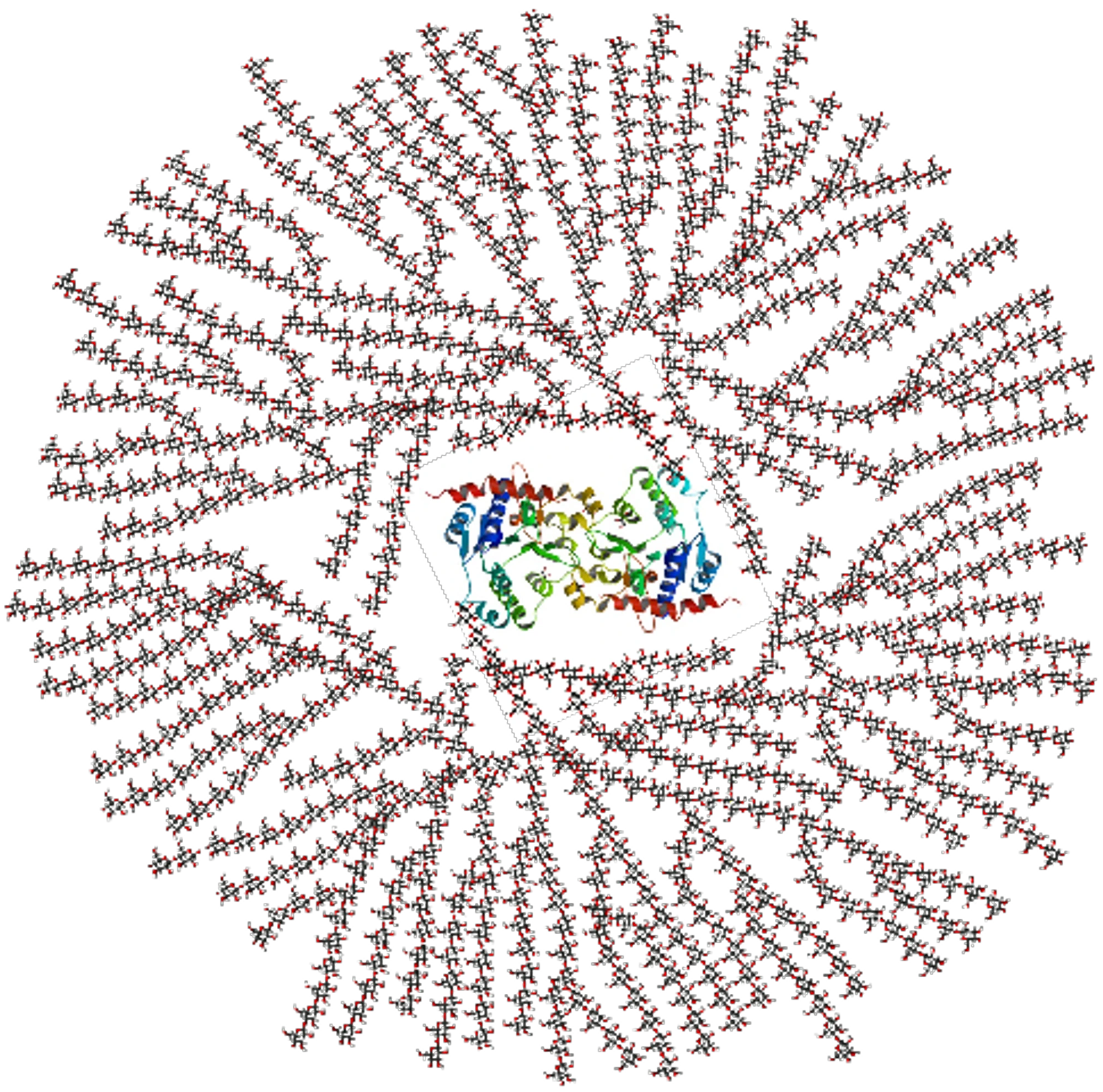 En molekylstruktur bestående av en tät, röd kedja som utstrålar från en vit och färgstark mitt, mot en mörk bakgrund.