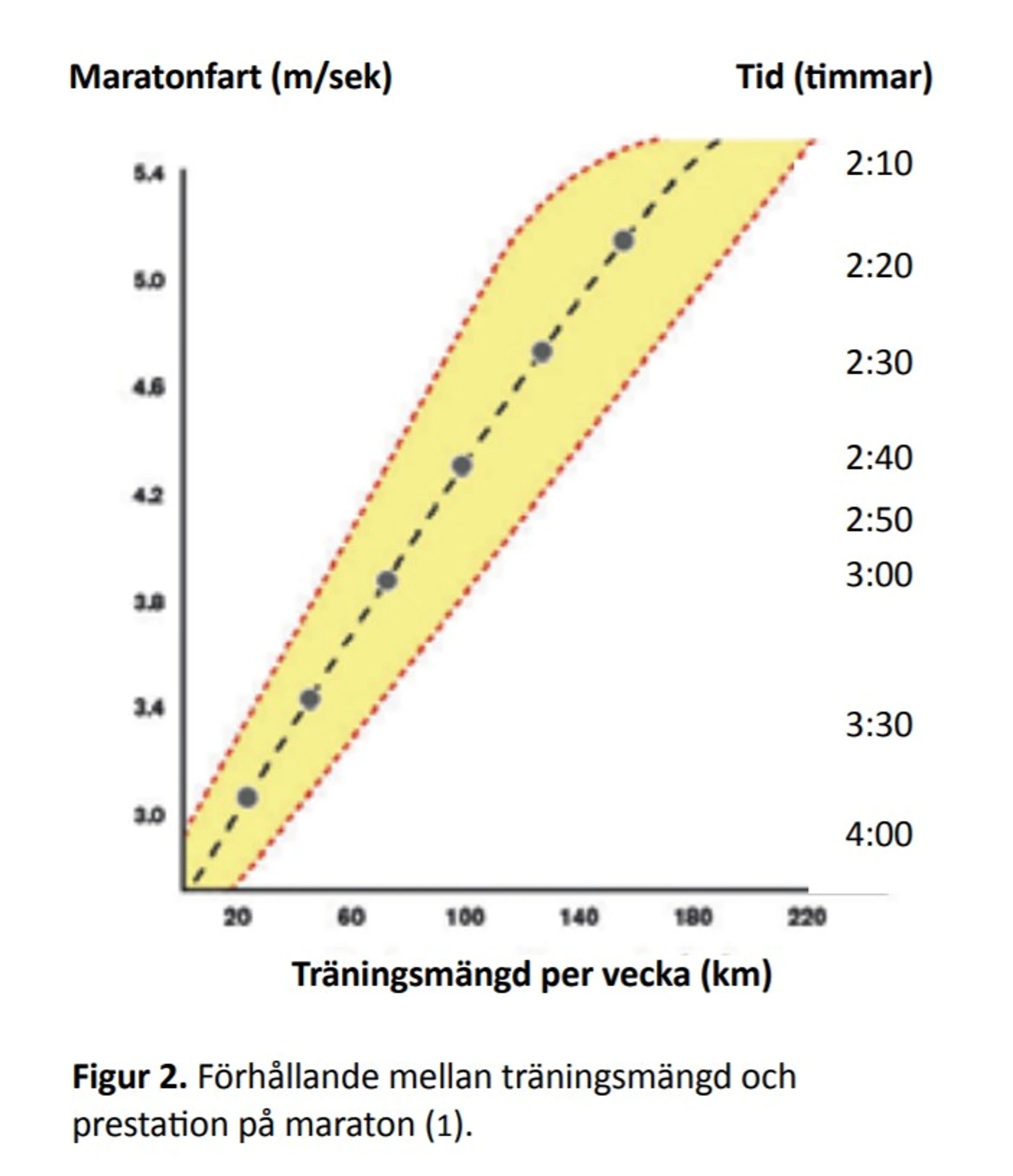 graf som visar träningsmängd per vecka