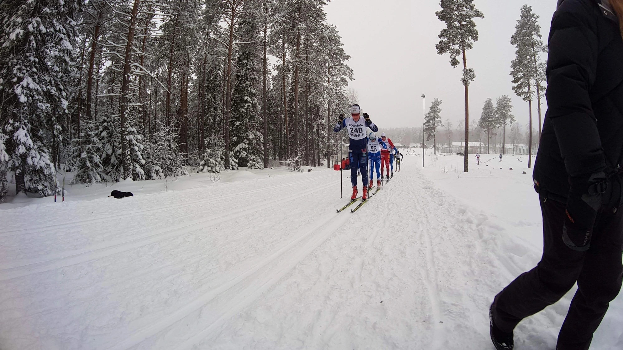 Cross-country skier on a trail