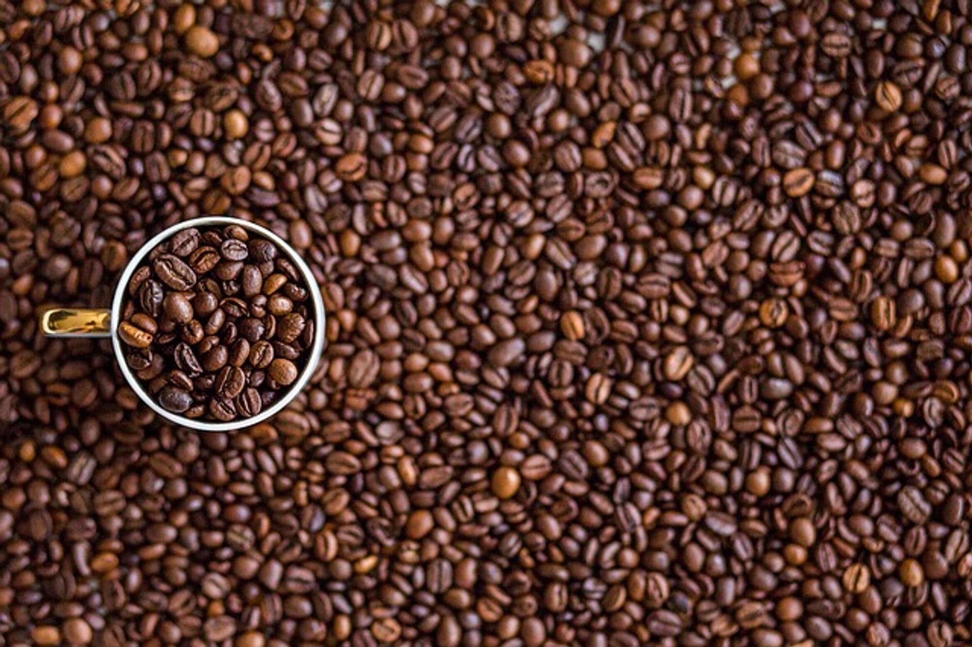 kaffe-umara-performbetter-caffeine.jpg