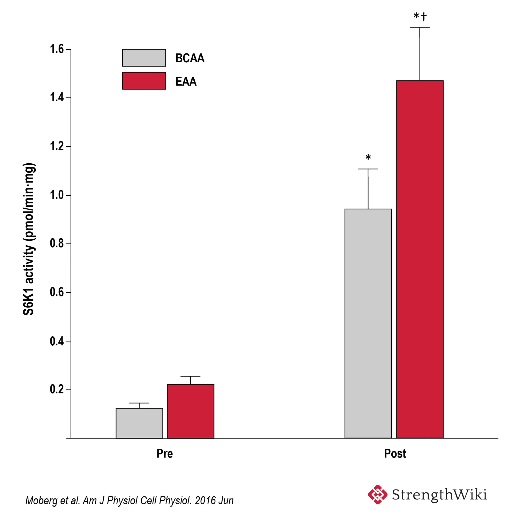 Tabell över aktivitet BCAA och EAA
