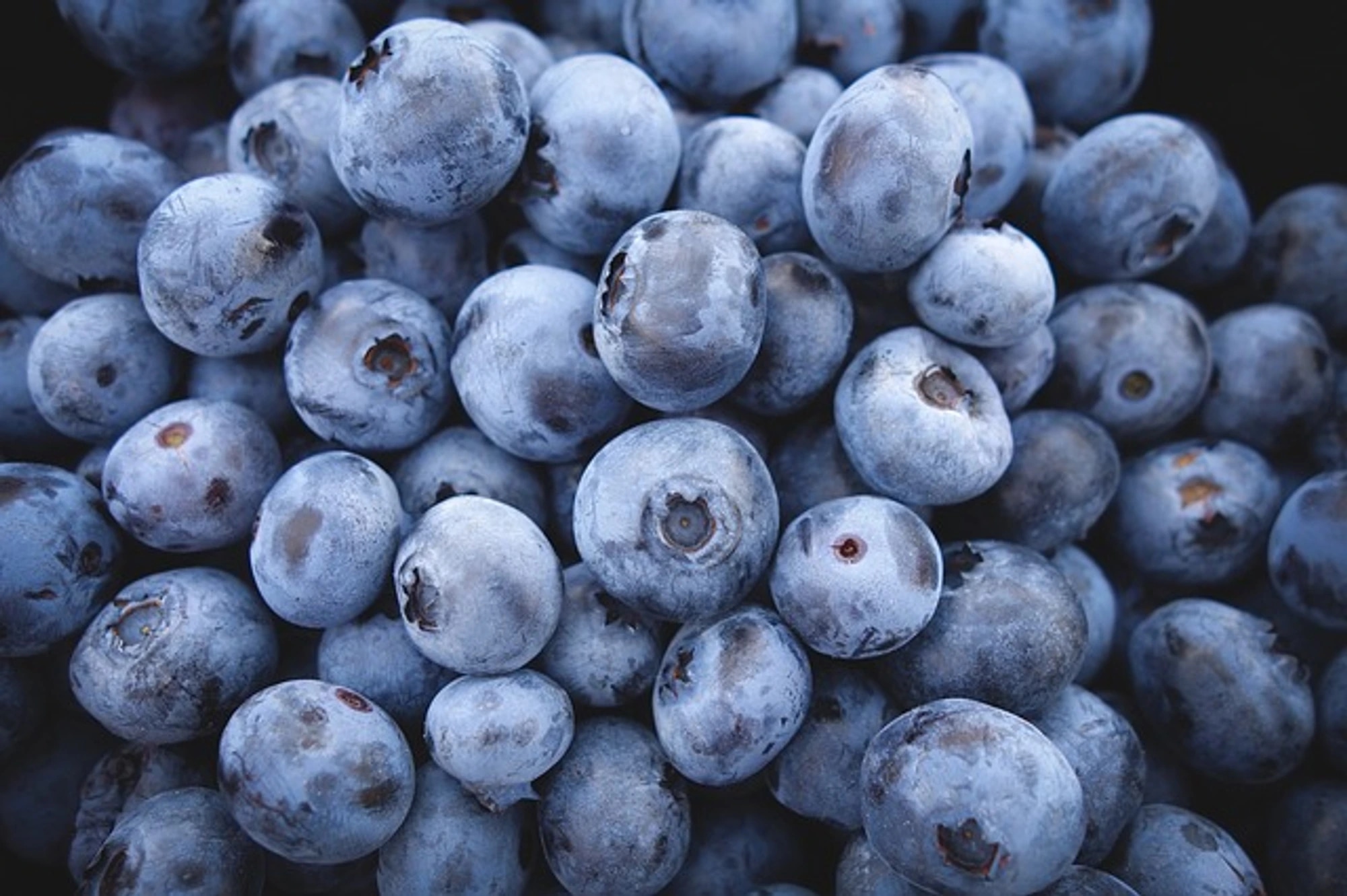 blueberries-690072-640.jpg