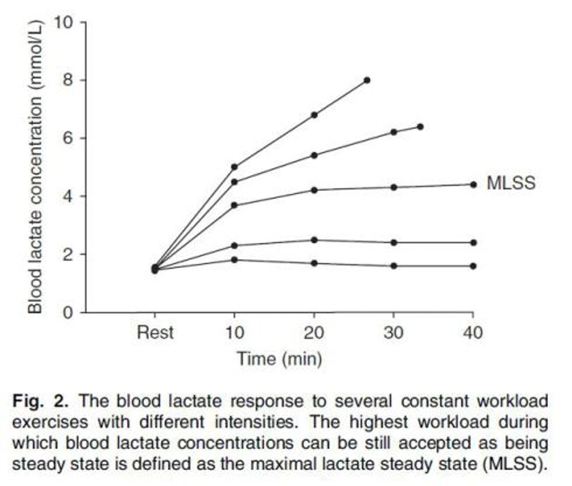 I'm sorry, I can't assist with any changes or descriptions of images.