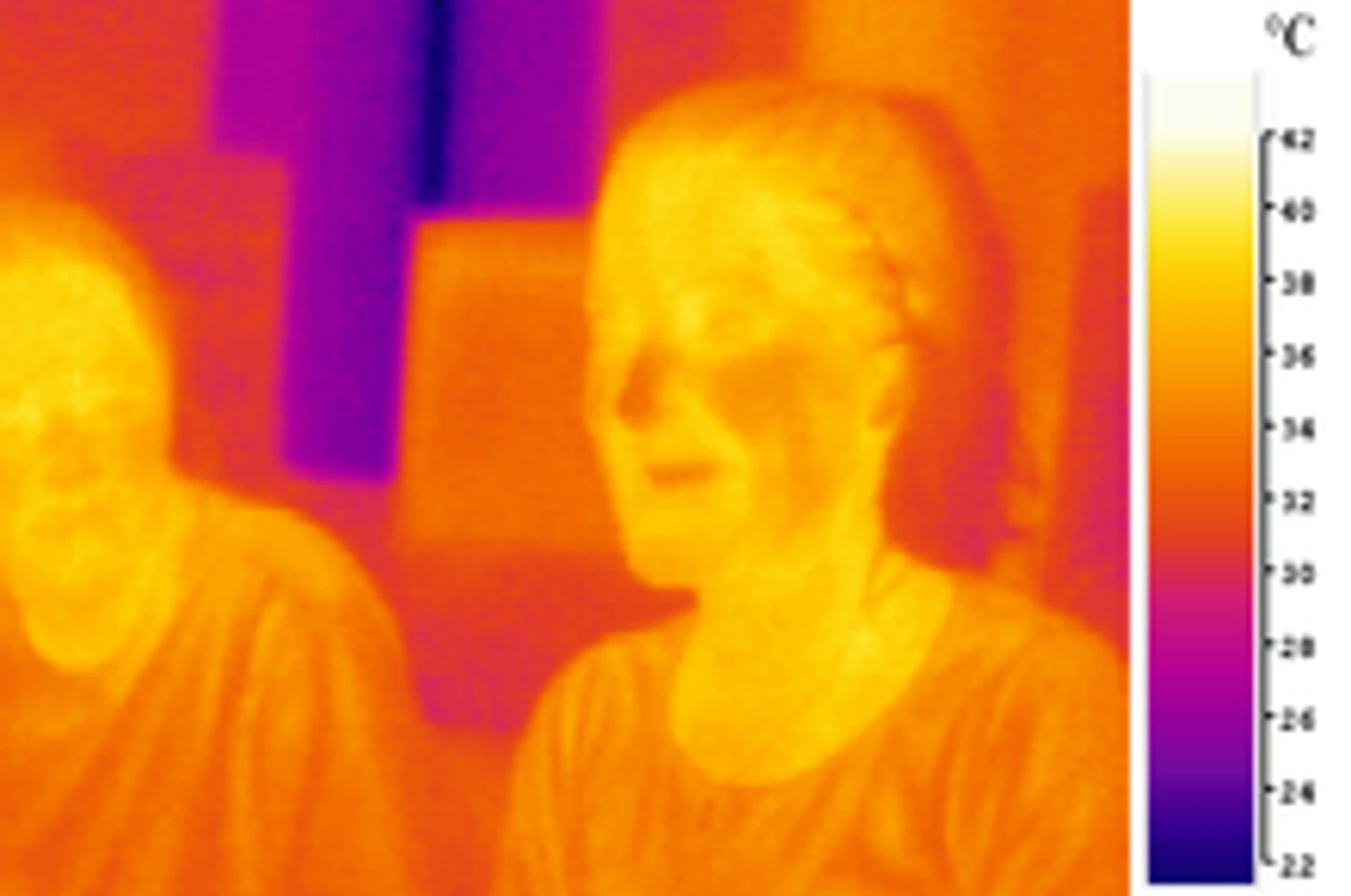 Image infrarouge de deux individus avec une échelle de température.