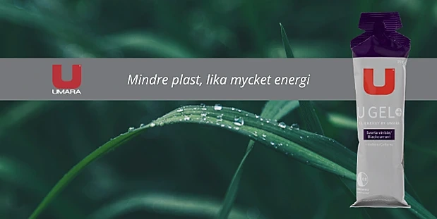 ny svartvinbär bred.png