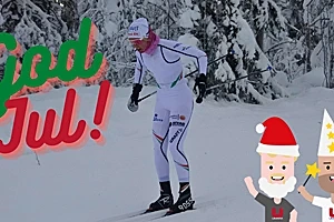 Umara önskar dig en riktigt God Jul!
