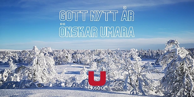 gott nytt år 1.png