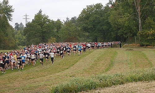 Image result for lidingöloppet starting line drone